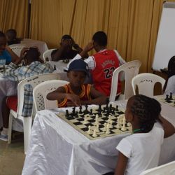 Chess & Board Games